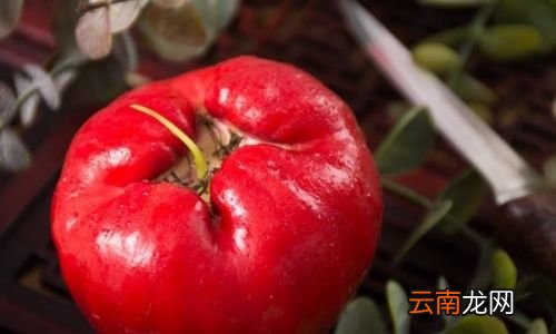 莲雾是不是要削皮吃