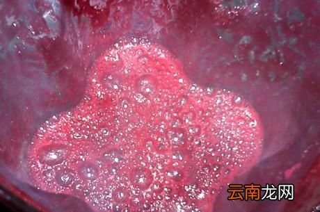 莲雾是不是要削皮吃