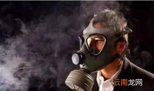 什么东西可以快速去除甲醛最有效
