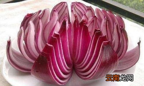 洋葱为什么可以去甲醛