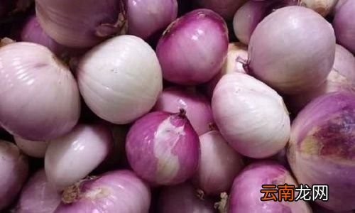 洋葱为什么可以去甲醛
