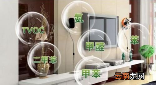 洋葱能去甲醛吗