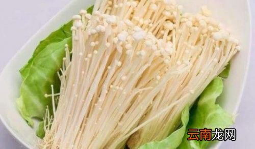 怎么才知道金针菇熟了没
