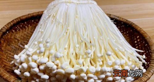金针菇怎么才算熟