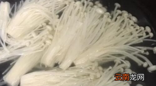 金针菇怎么才算熟