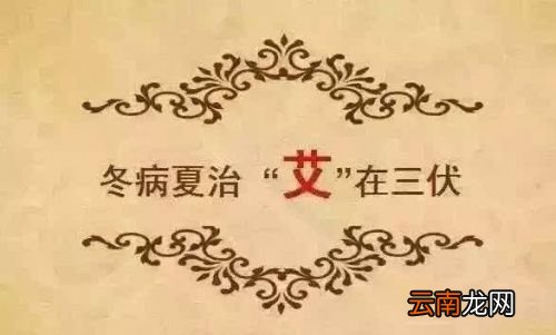 三伏天艾灸时间怎么安排表
