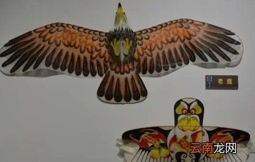 风筝有哪些形状种类呢 风筝什么形状容易飞
