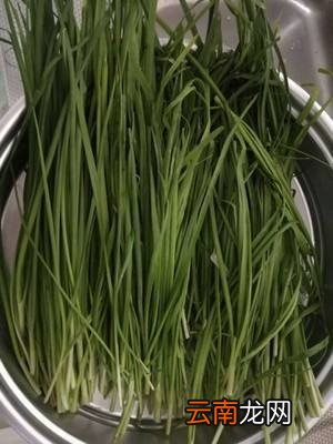 韭菜蒸饺需要蒸多长时间 韭菜蒸饺多久