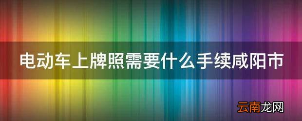 电动车上牌照材料咸阳市