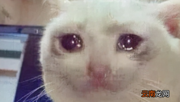 深夜emo什么意思