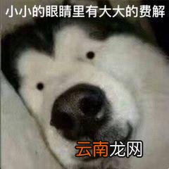 我的信用分怎么查 支付宝信用分怎么查