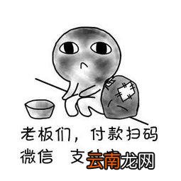 我的信用分怎么查 支付宝信用分怎么查