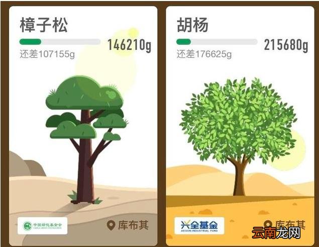 蚂蚁森林快速攒能量 蚂蚁森林怎样让能量多