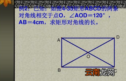 矩形的性质和判定，分别是什么