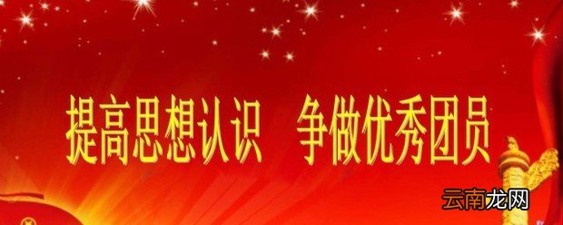 优秀团员先进事迹范文