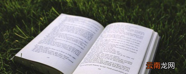 10句充满阳光的句子