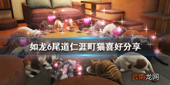 如龙6尾道仁涯町猫在哪 如龙6尾道仁涯町猫喜好分享