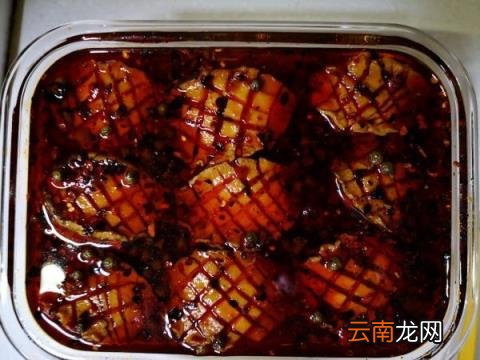 鲍鱼的正宗做法教程 鲍鱼怎么做好吃