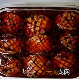 鲍鱼的正宗做法教程 鲍鱼怎么做好吃