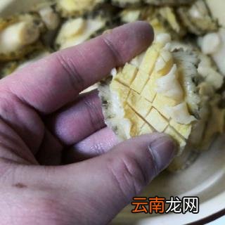 鲍鱼的正宗做法教程 鲍鱼怎么做好吃