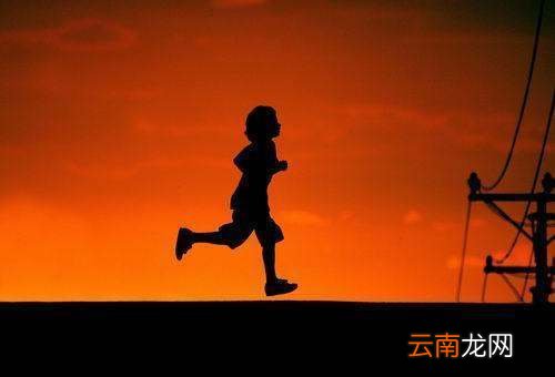 物质与意识的辩证关系 物质与意识有什么不一样