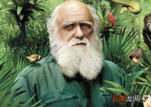 奴役的概念和来历 奴役是什么意思