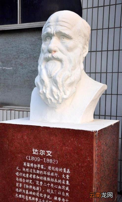 奴役的概念和来历 奴役是什么意思