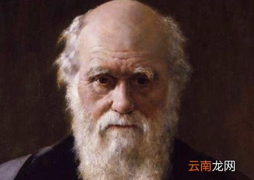 奴役的概念和来历 奴役是什么意思