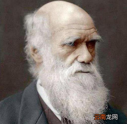 奴役的概念和来历 奴役是什么意思