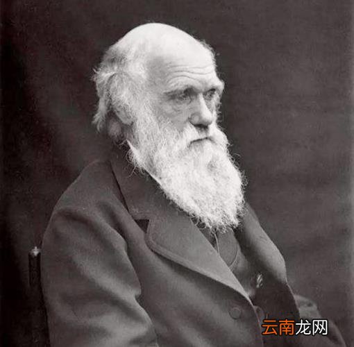 奴役的概念和来历 奴役是什么意思