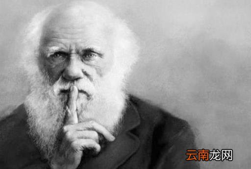 奴役的概念和来历 奴役是什么意思