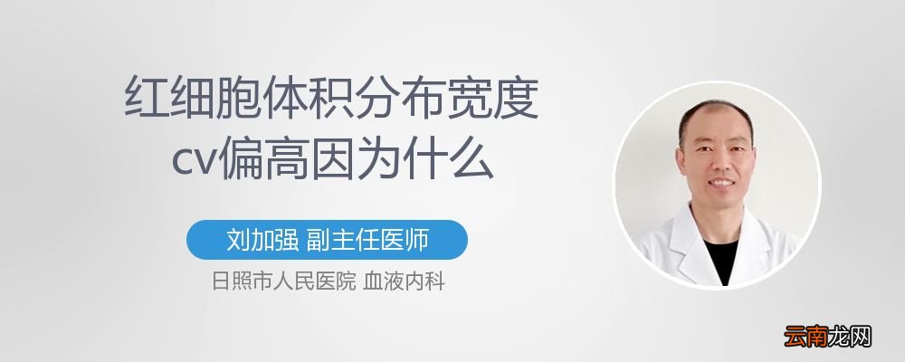 红细胞分布宽度变异系数