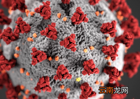 世界卫生组织提出的关切的变异株有几个