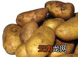孕妇不宜吃的食物有哪些 孕妇禁忌水果