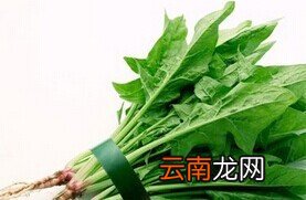 孕妇不宜吃的食物有哪些 孕妇禁忌水果
