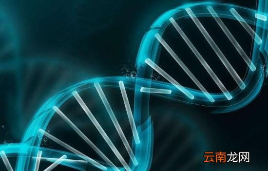 孕期可以做无创dna亲子鉴定吗费用多少