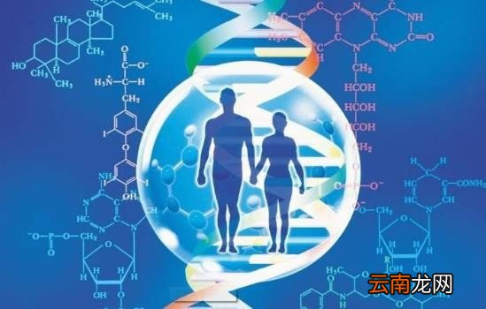 孕期可以做无创dna亲子鉴定吗费用多少