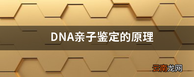 DNA亲子鉴定的原理