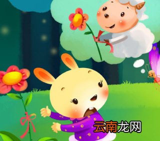 小白兔的睡前故事 关于小白兔的故事