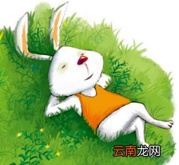 小白兔的睡前故事 关于小白兔的故事