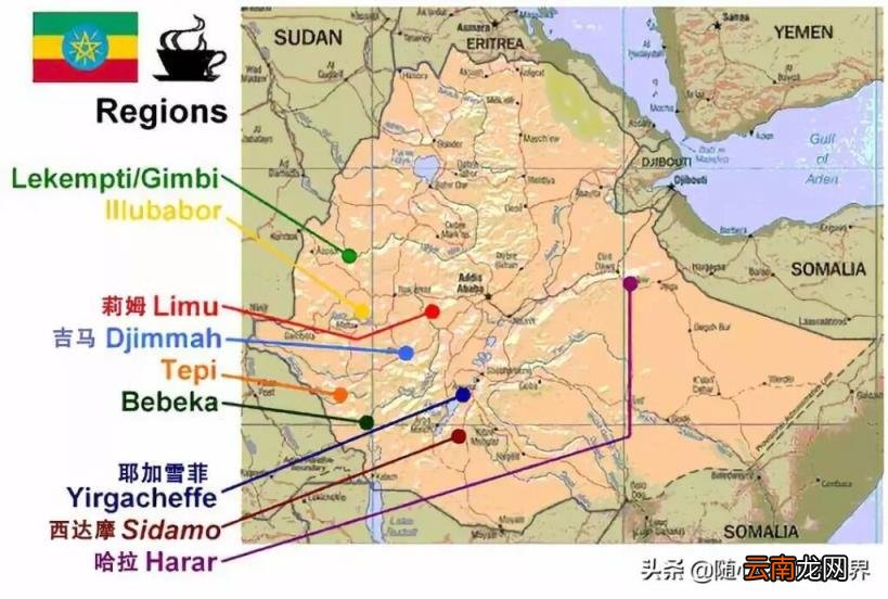 咖啡的故乡和生产 咖啡的故乡是哪里