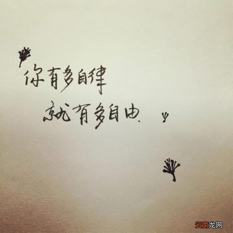 随心所欲的含义 随心所欲是什么意思