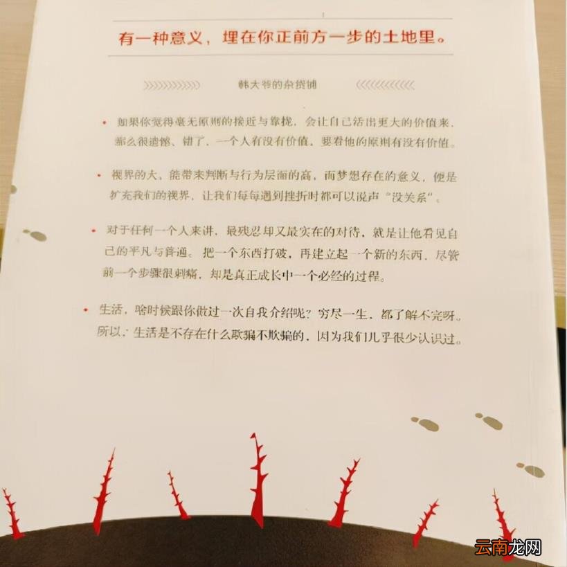 扉页的通俗解释 扉页是什么意思