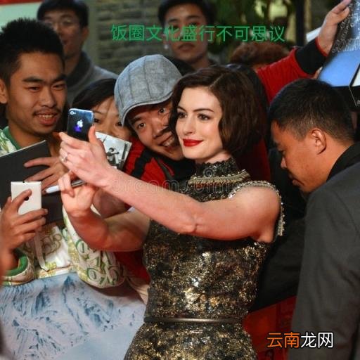 饭圈的来历 饭圈什么意思