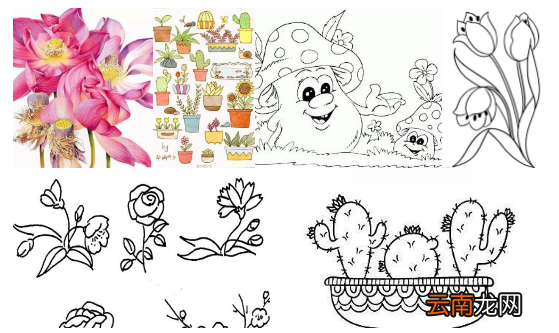 春天的画植物的画 植物简笔画