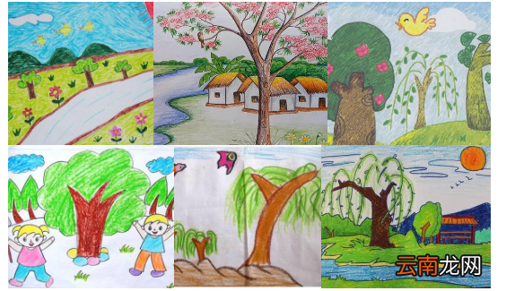 春天的画植物的画 植物简笔画