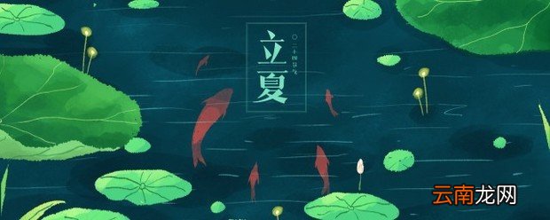 夏日文案 夏日描述文章