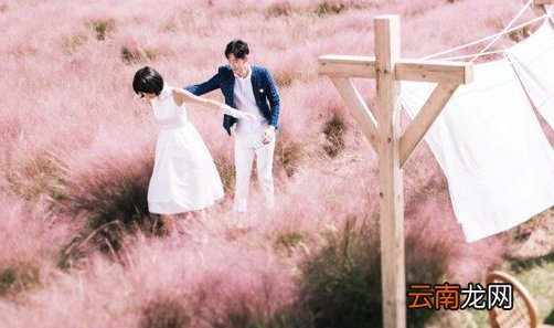 夏天文案干净短句有哪些 夏天经典句子