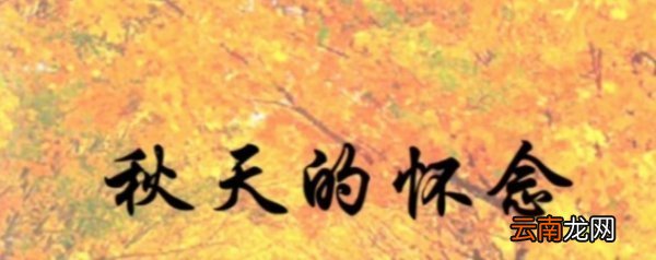 《秋天的怀念》是叙事散文还是记叙文