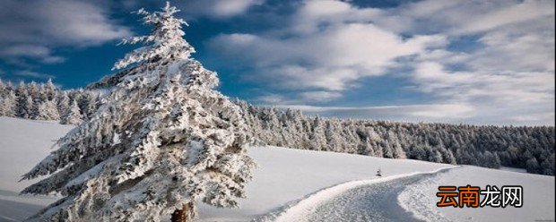 形容冬天的词语 冬天有关的成语